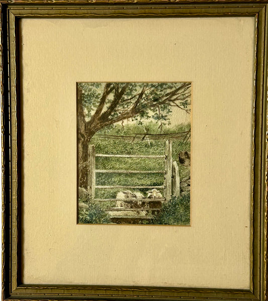SHEEP WATERCOLOR BY H. E. WILSON