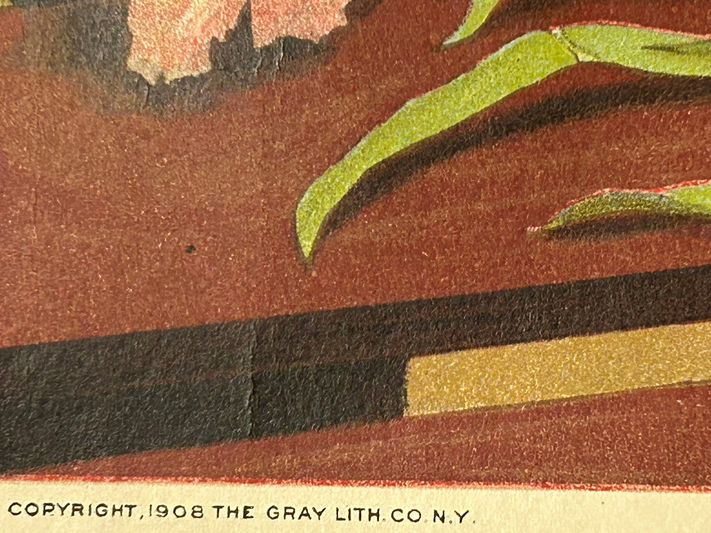 A CARNATION SYMPHONY ANTIQUE YARD LONG PRINT