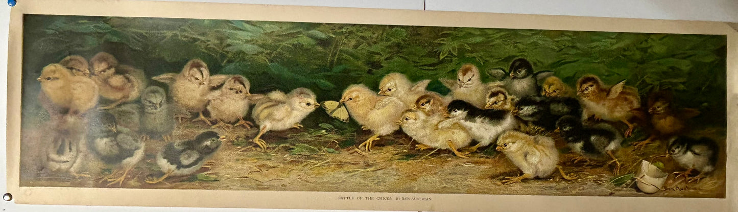 BATTLE OF THE CHICKS BY BEN AUSTRIAN YARD LONG PRINT