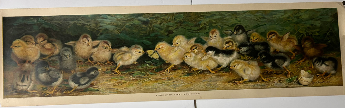 BATTLE OF THE CHICKS BY BEN AUSTRIAN YARD LONG PRINT