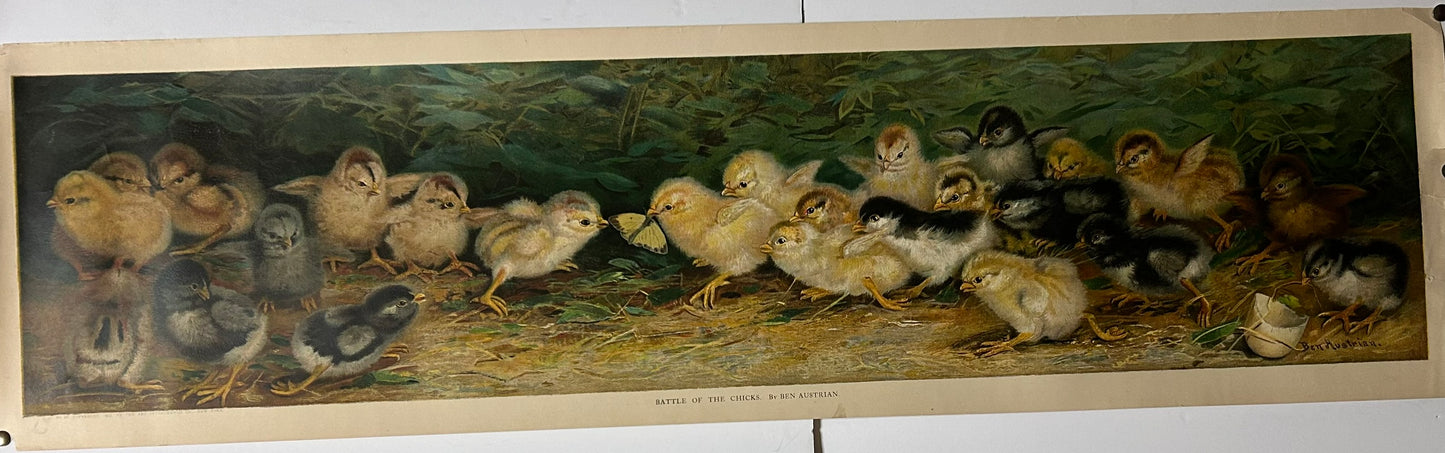 BATTLE OF THE CHICKS BY BEN AUSTRIAN YARD LONG PRINT