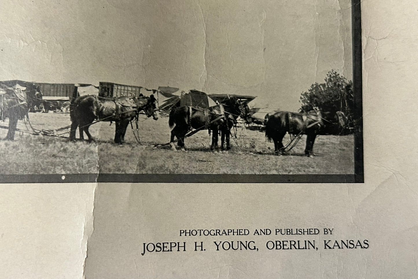 CAMPBELL BROS. PANORAMIC CIRCUS STREET PARADE PHOTOS FROM EARLY 1900