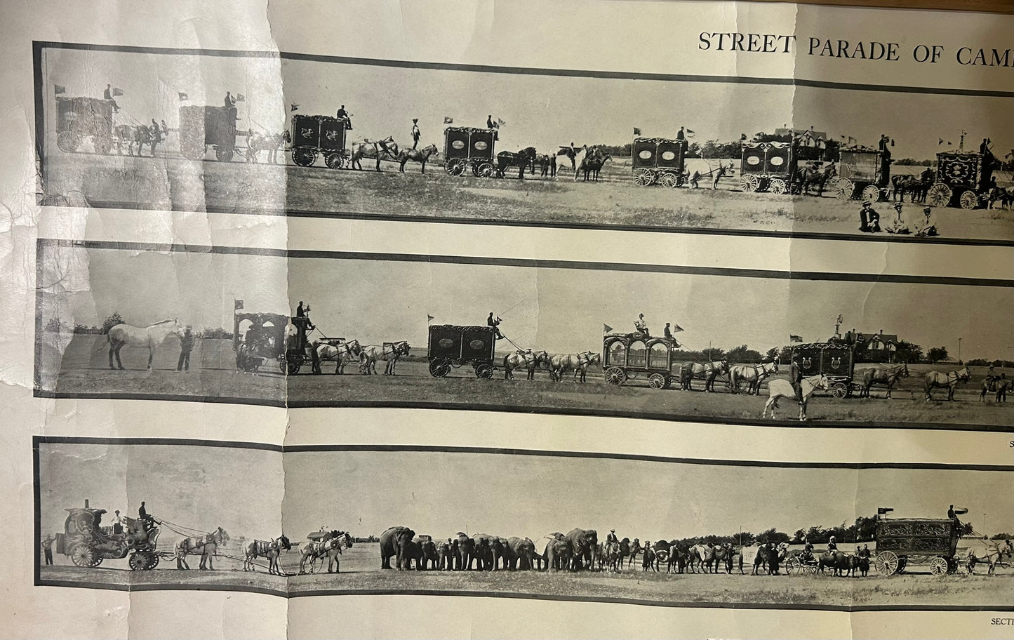 CAMPBELL BROS. PANORAMIC CIRCUS STREET PARADE PHOTOS FROM EARLY 1900