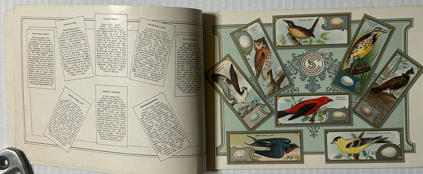 CHICLETS GUM ANTIQUE ADVERTISING ALBUM OF AMERICAN BIRDS