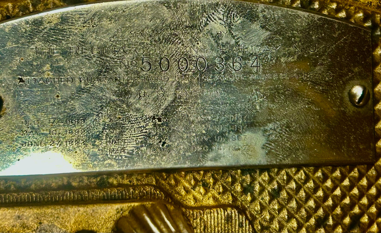 REGINA DISC MUSIC BOX WITH SERPENTINE CASE