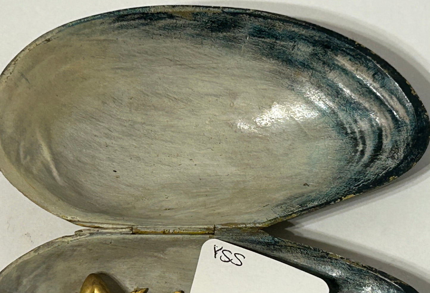 VIENNA BRONZE SEASHELL WITH NUDE INSIDE
