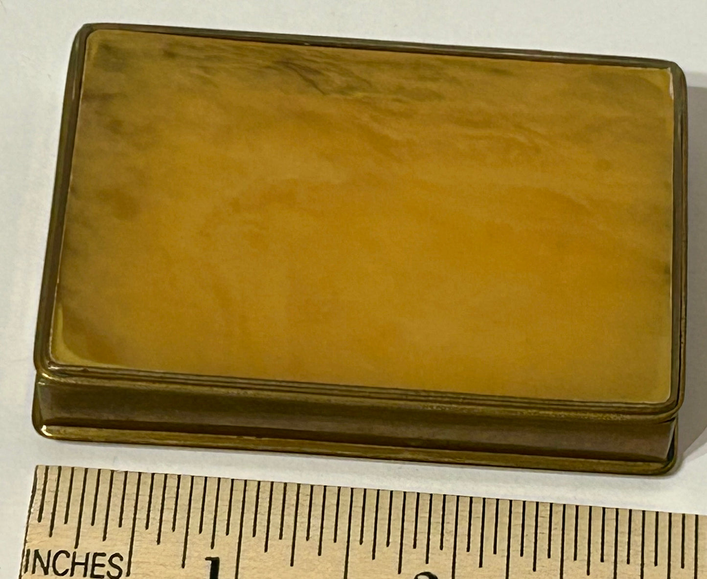 ANTIQUE SMOKED SHELL WITH BRASS SNUFF BOX