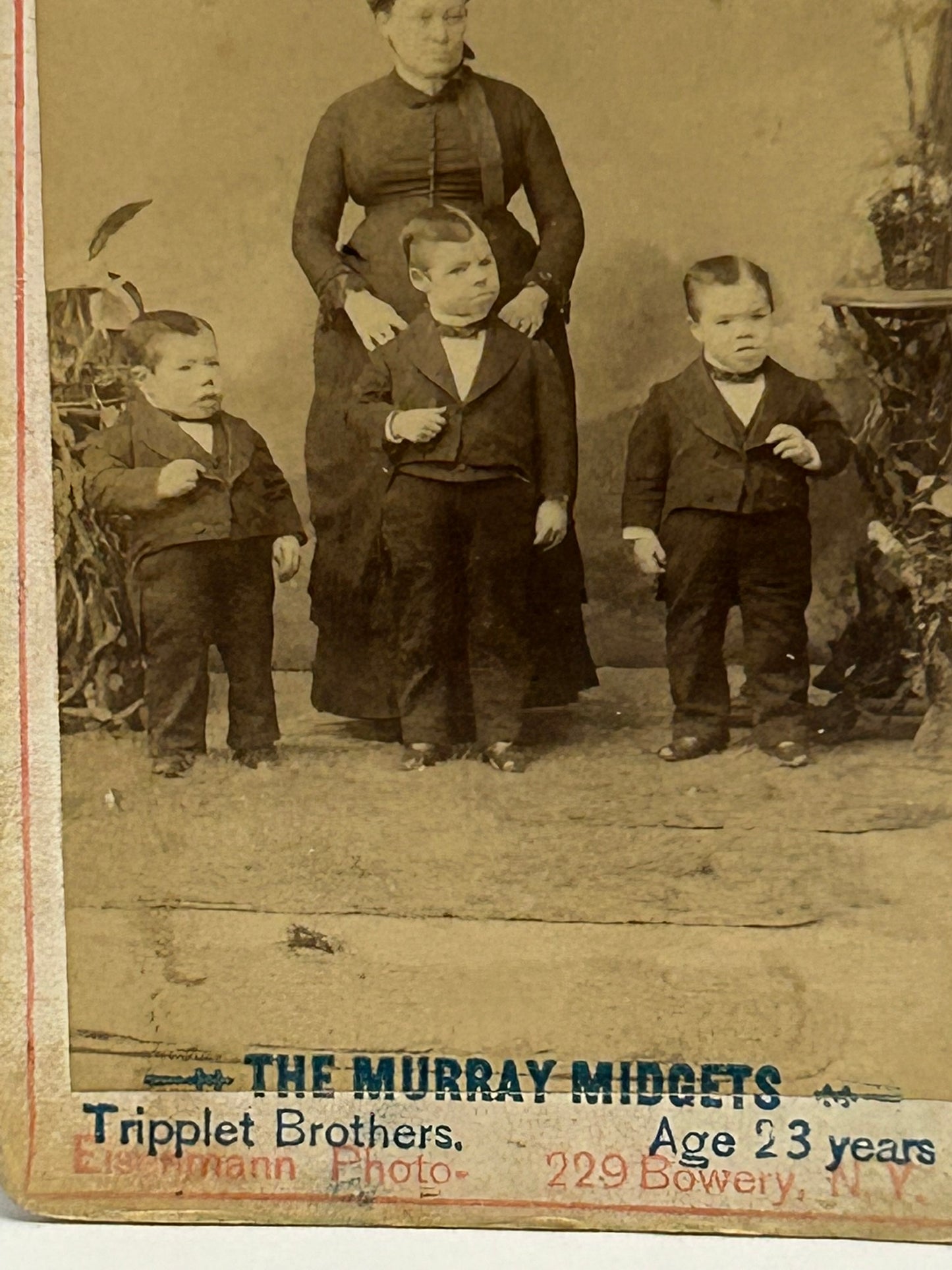 CDV PHOTOGRAPH OF THE MURRAY MIDGETS TRIPPLET BROTHERS BY NEW YORK PHOTOGRAPHER