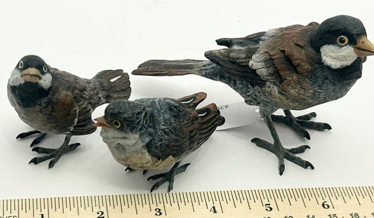 BRONZE BIRDS COLD PAINTED GROUP OF THREE
