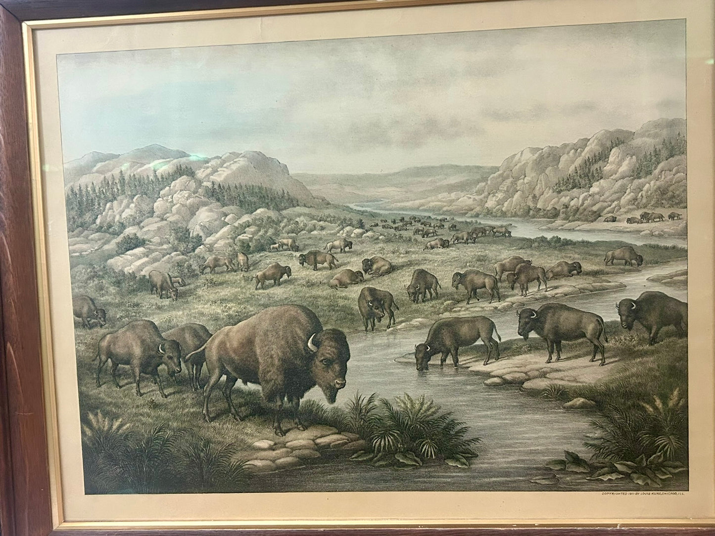 BUFFALO AT REST ANTIQUE PRINT