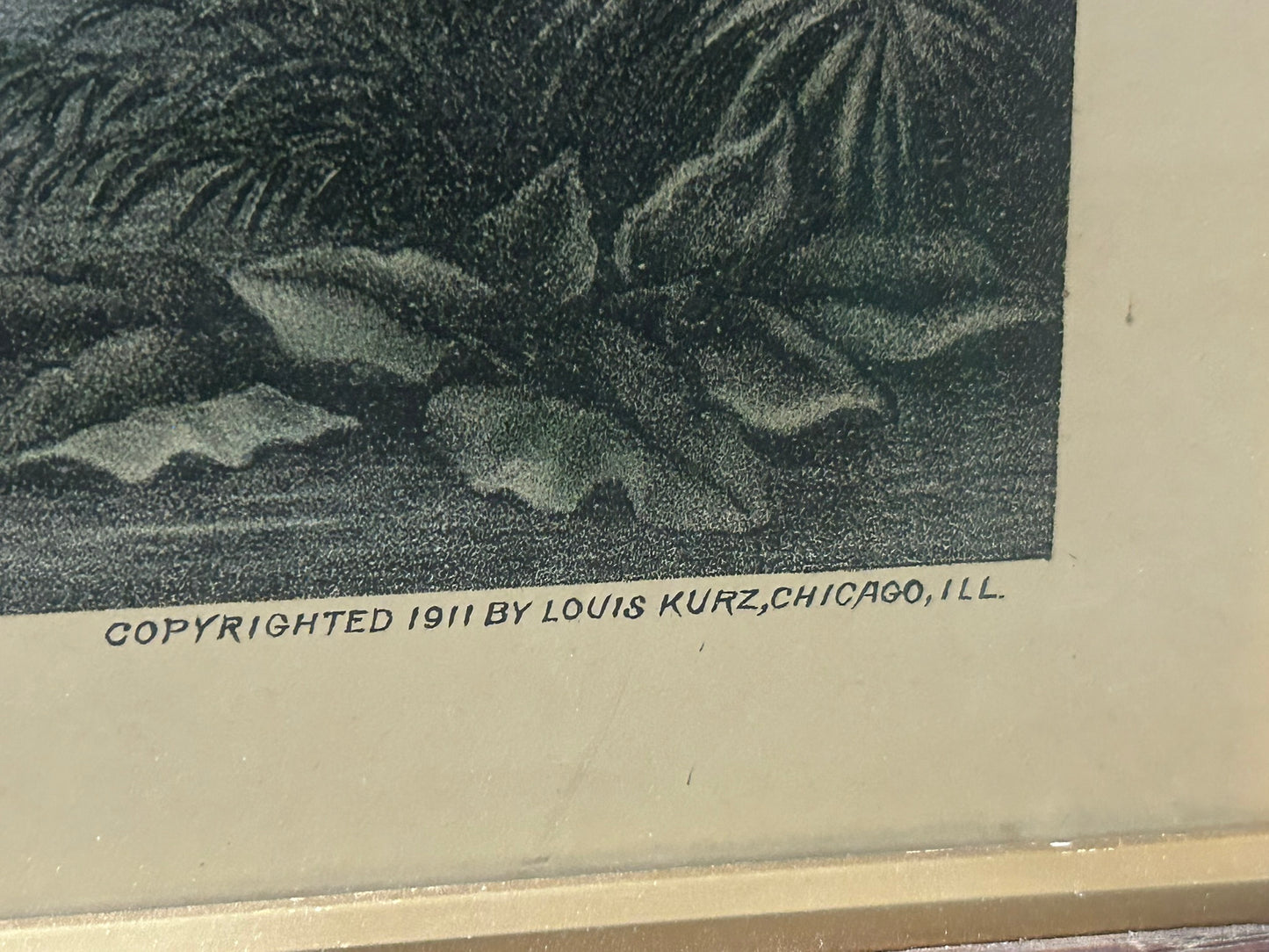 BUFFALO AT REST ANTIQUE PRINT