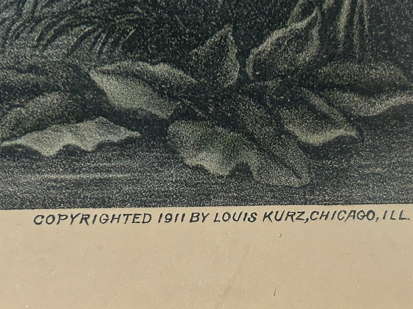 BUFFALO AT REST ANTIQUE PRINT