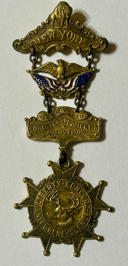 NEW YORK DELEGATION FORESTERS OF AMERICA 1905 FANCY ENAMELED MEDAL