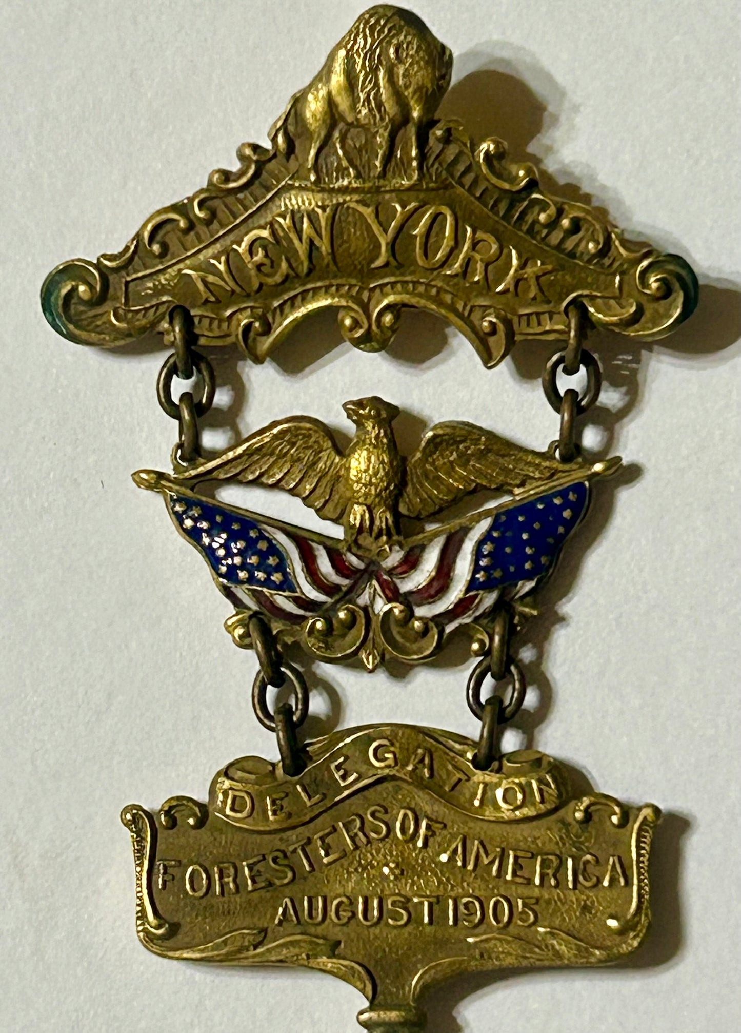 NEW YORK DELEGATION FORESTERS OF AMERICA 1905 FANCY ENAMELED MEDAL