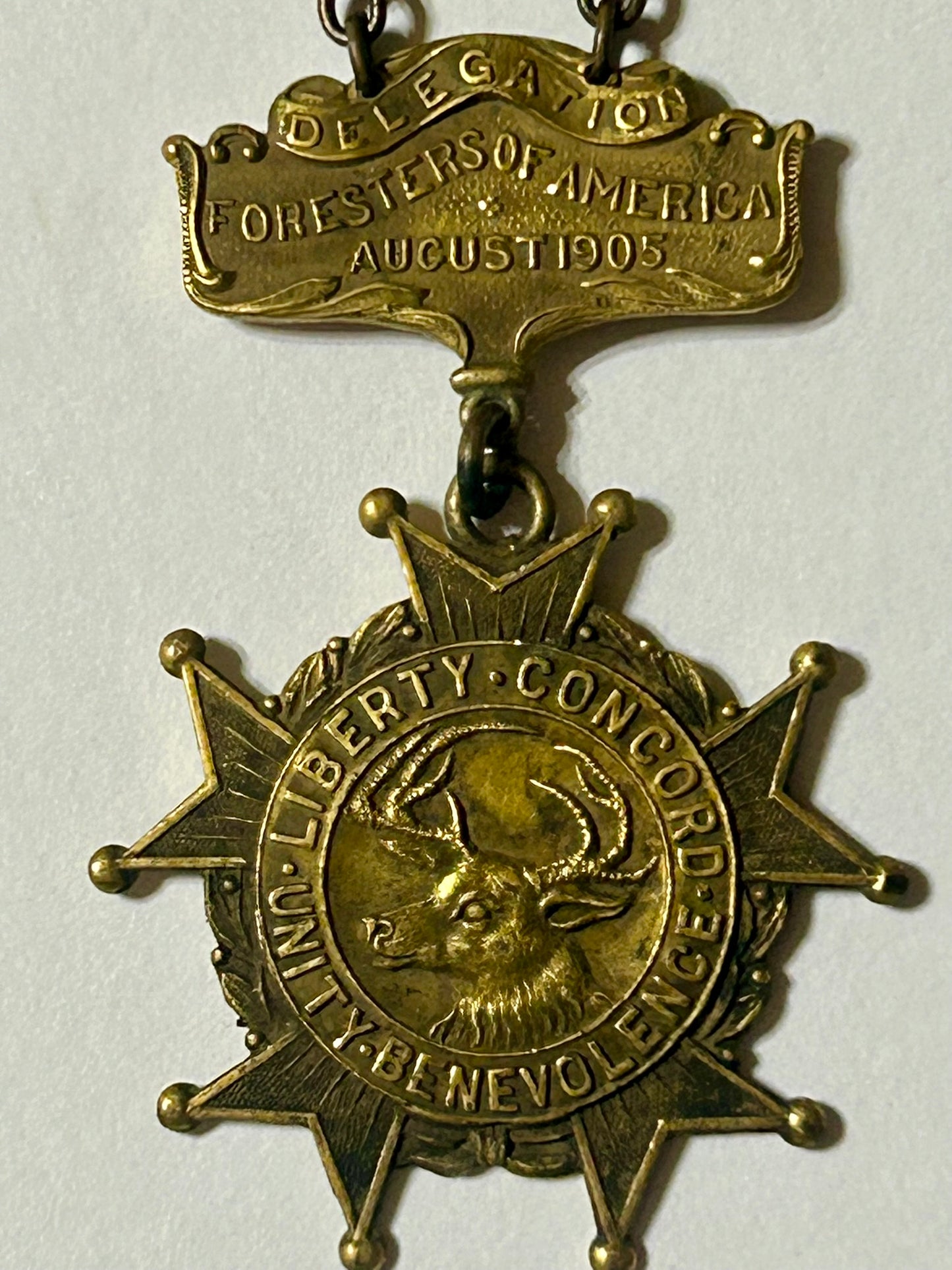 NEW YORK DELEGATION FORESTERS OF AMERICA 1905 FANCY ENAMELED MEDAL
