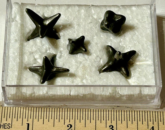 CIVIL WAR CALTROPS USED TO CRIPPLE ENEMY HORSES