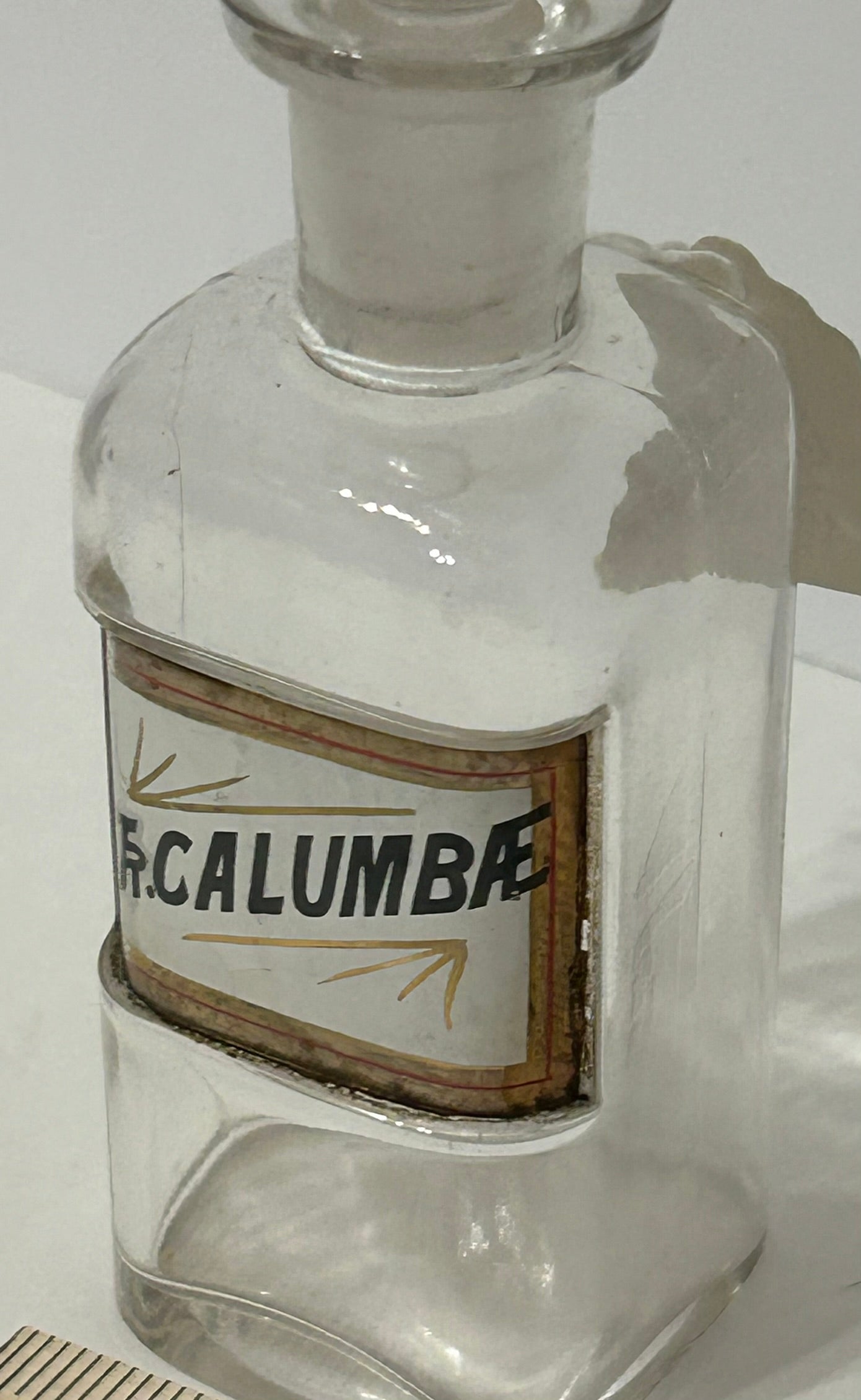 ANTIQUE APOTHECARY BOTTLE "TR. CALUMBAE" UNDER GLASS