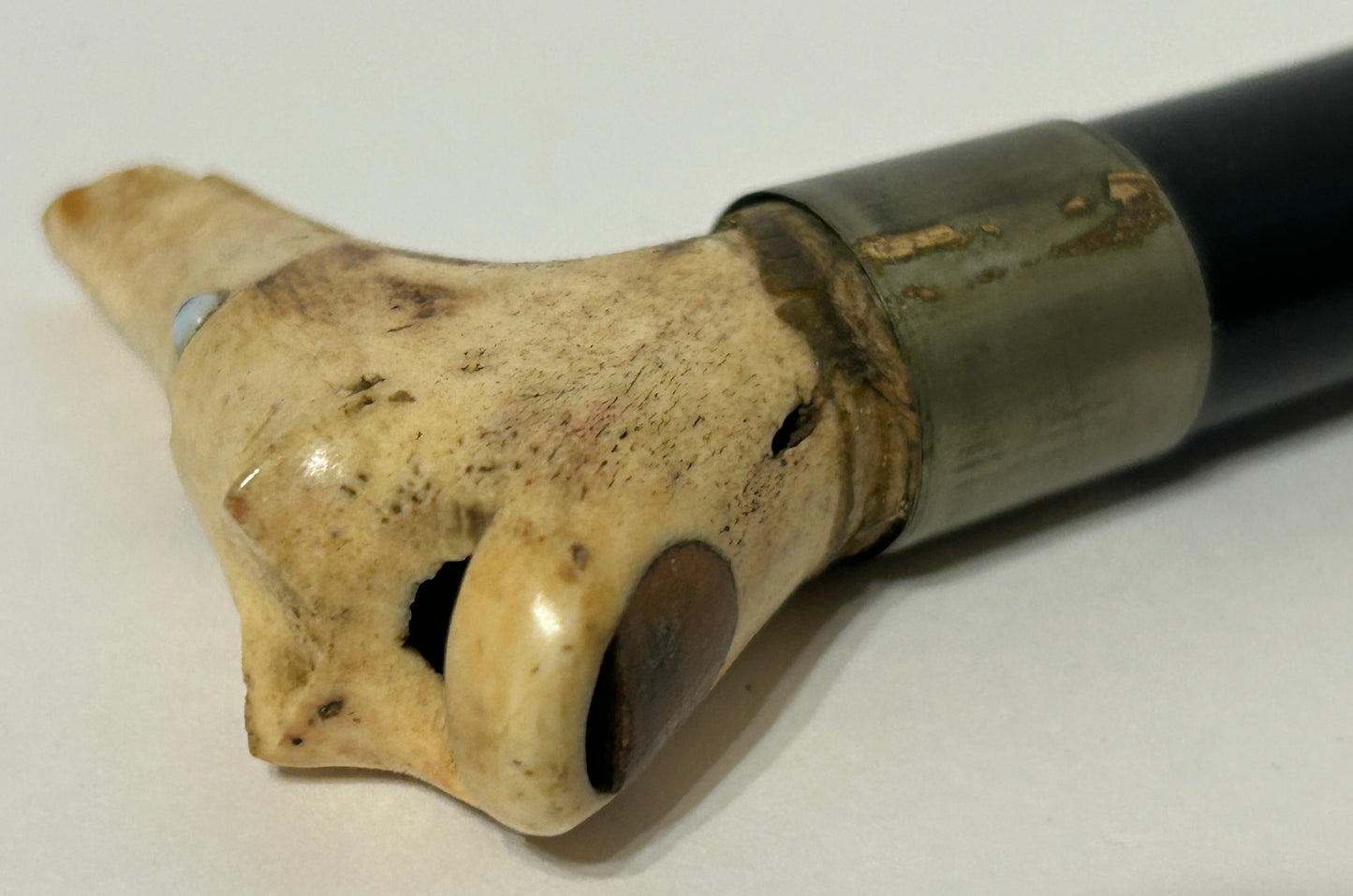 ANTIQUE BONE FIGURAL DOG HEAD RIDING CROP WITH WHISTLE