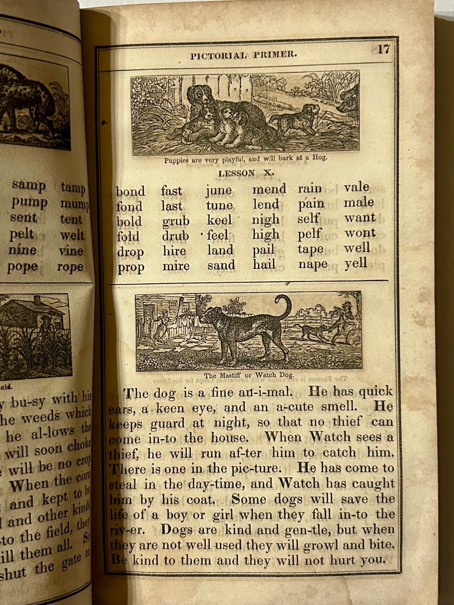 THE NATIONAL PICTORIAL PRIMER 1850 BOOKLET