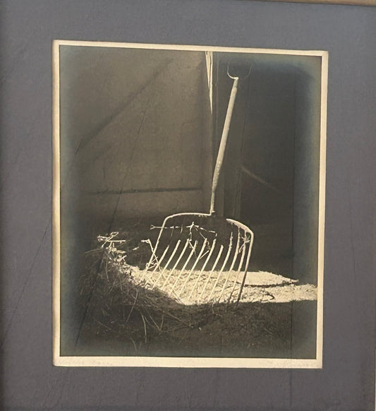 SILVER BROMIDE PHOTOGRAPH PRINT BY DR. DRAHOMIR RUZICKA