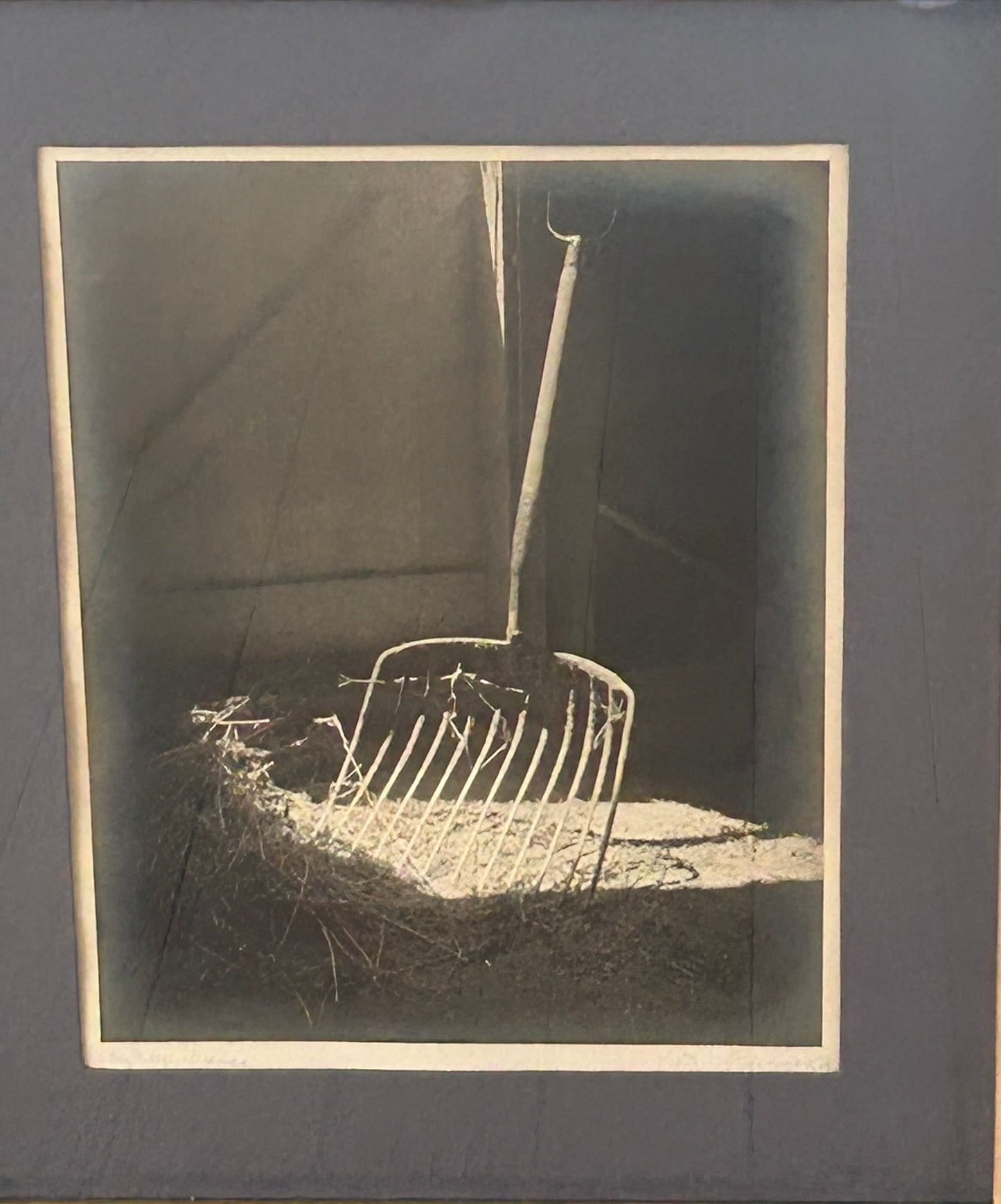 SILVER BROMIDE PHOTOGRAPH PRINT BY DR. DRAHOMIR RUZICKA