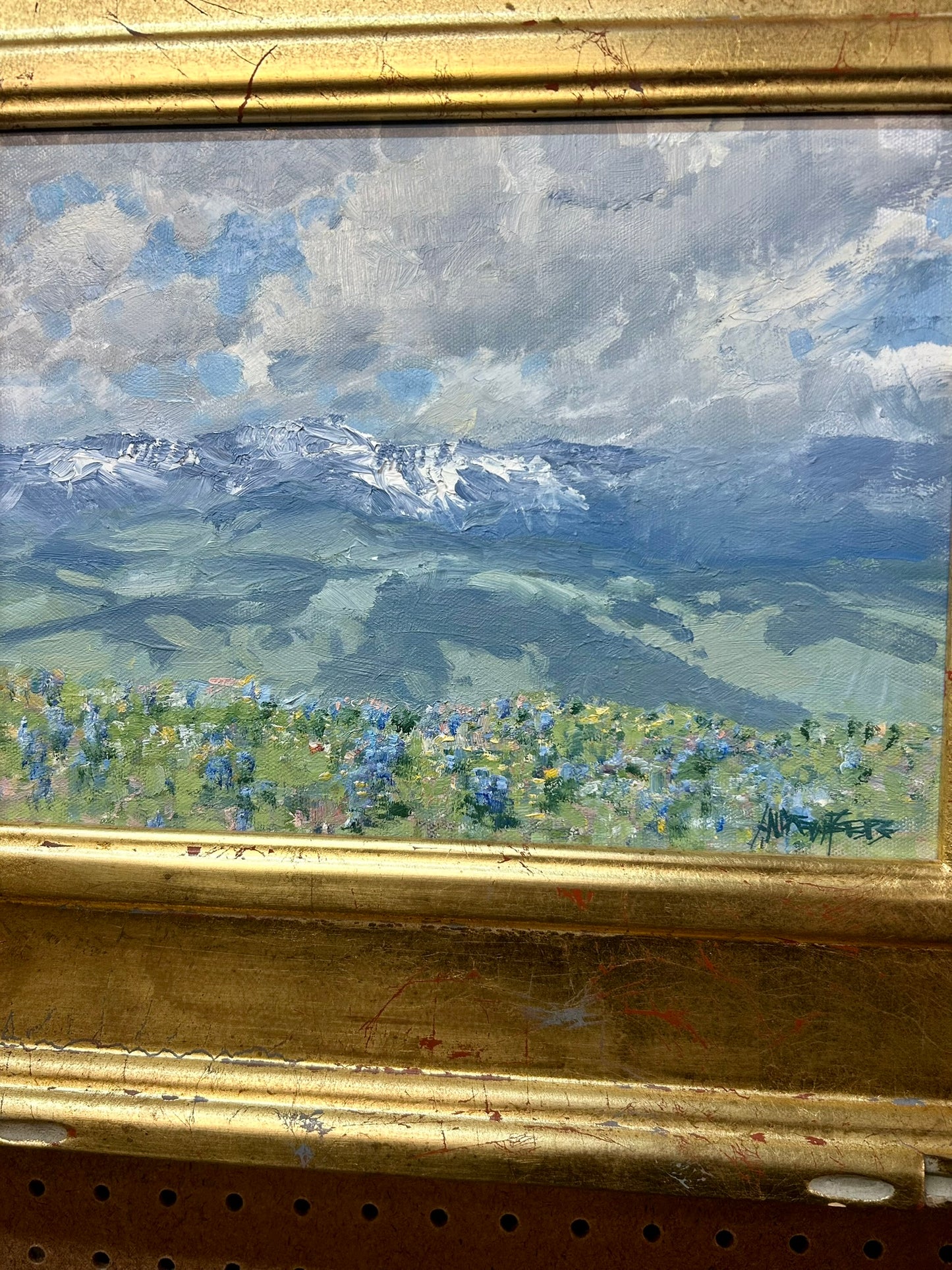 ANDREW PETERS, COLORADO & ARIZONA ARTIST PAINTING