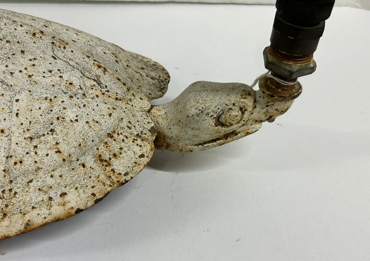 ANTIQUE CAST IRON LARGE TURTLE LAWN SPRINKLER