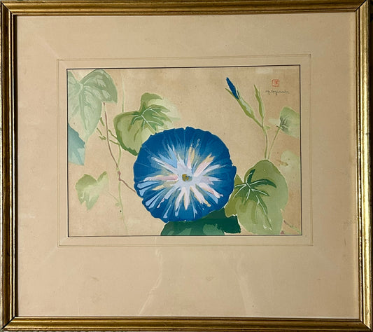 MORNING GLORIES ORIENTAL PRINT