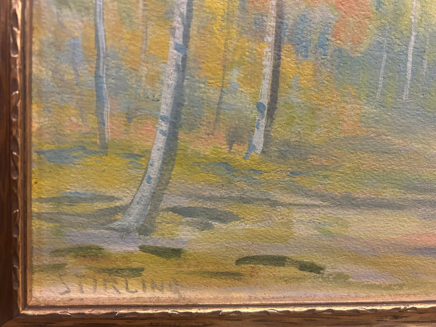 DAVID STERLING COLORADO ARTIST PAINTING OF ESTES PARK AREA