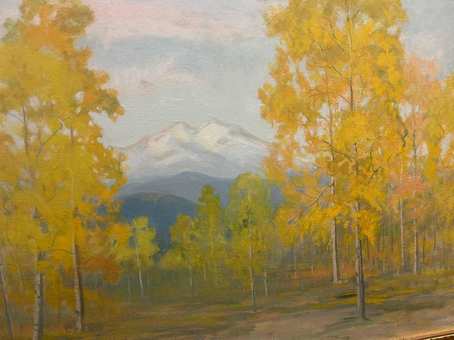 DAVID STERLING COLORADO ARTIST PAINTING OF ESTES PARK AREA