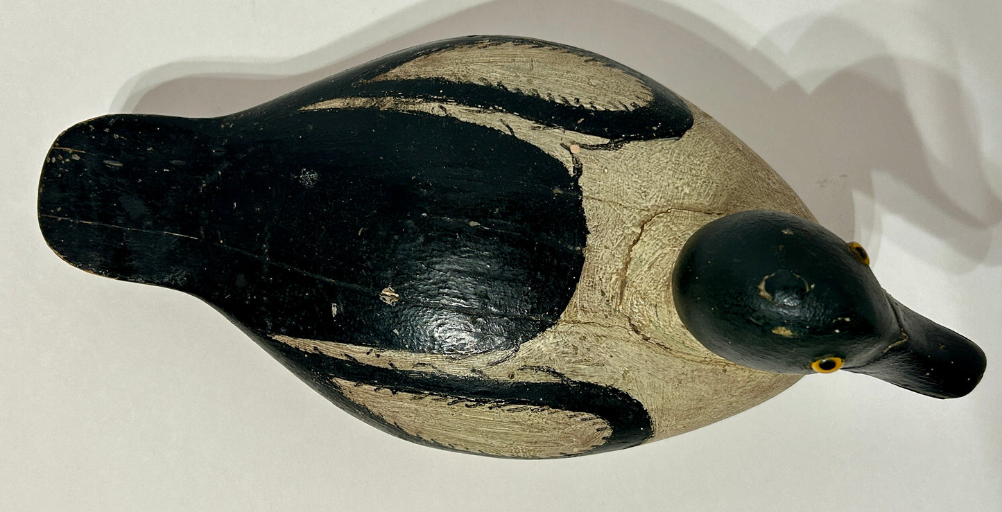 ANTIQUE WOODEN DECOY OF GOLDEN EYE DRAKE