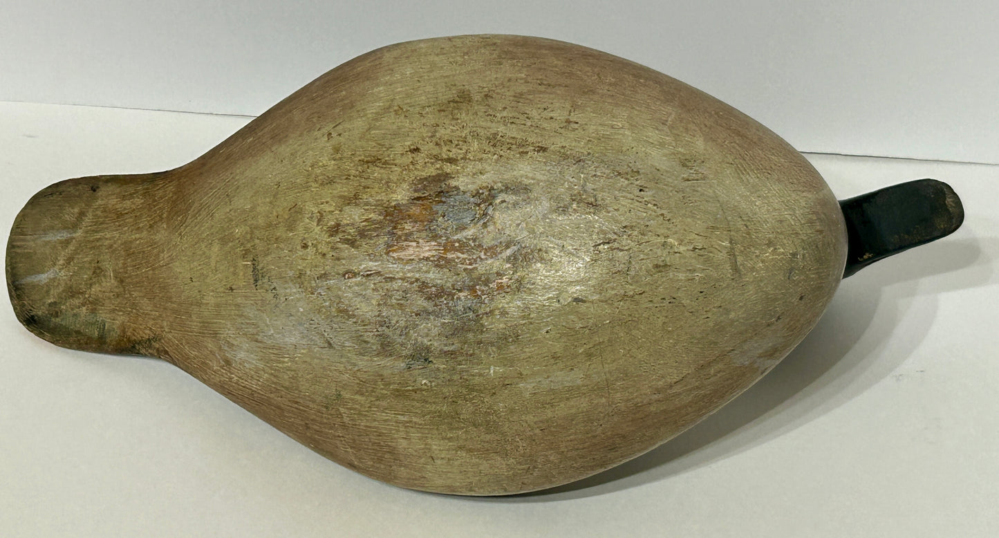 ANTIQUE WOODEN DECOY OF GOLDEN EYE DRAKE