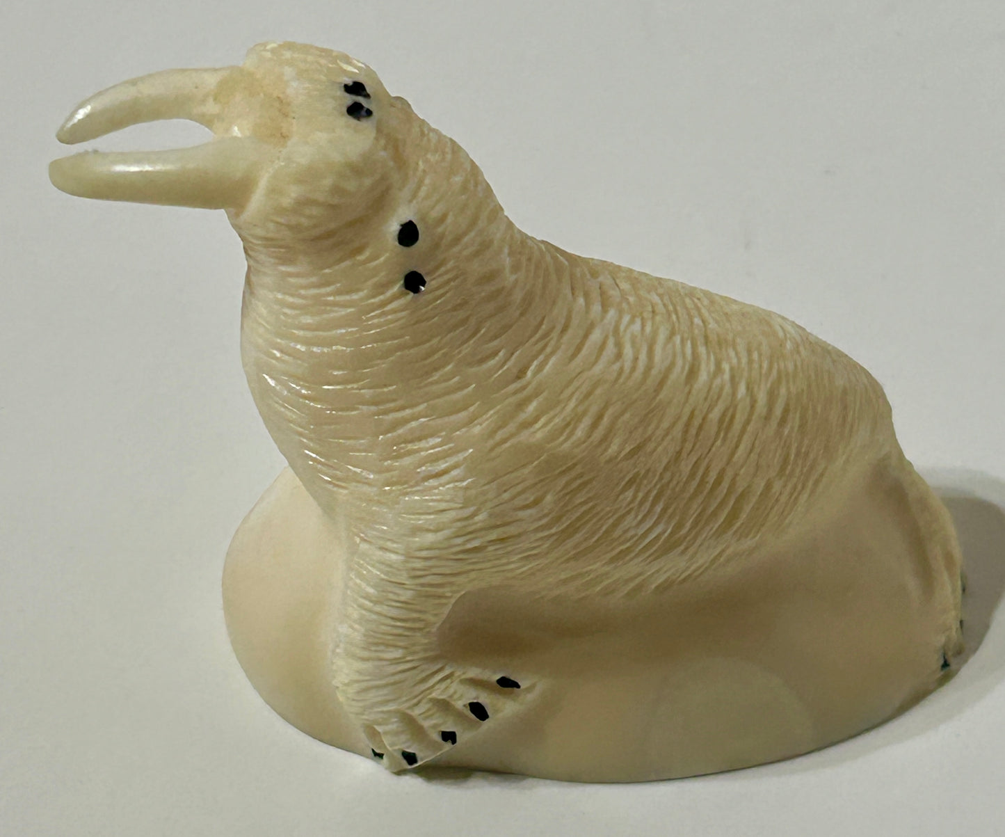 WALRUS IVORY CARVING OF ARTIST SIGNED WALRUS