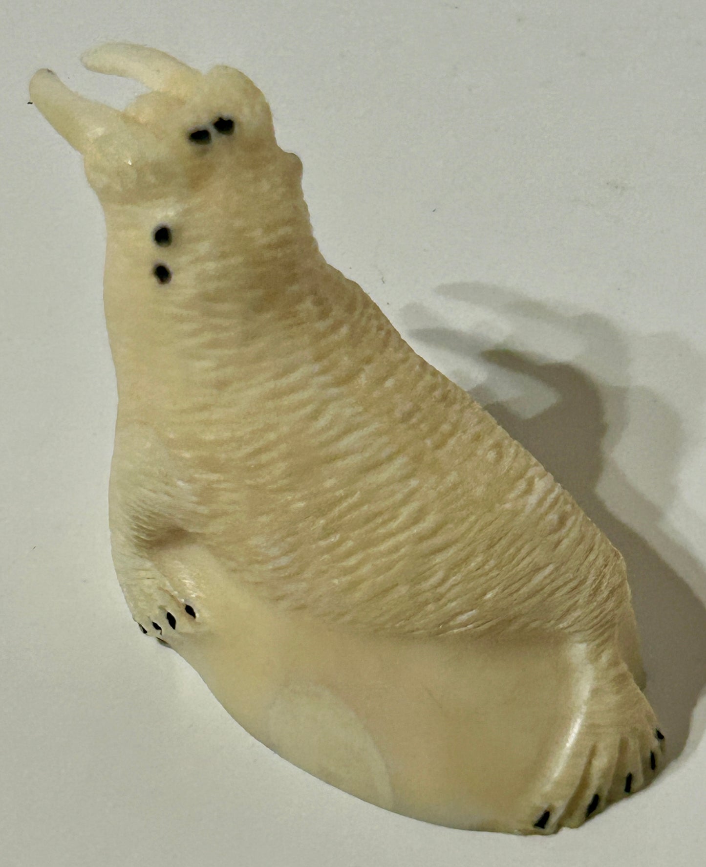 WALRUS IVORY CARVING OF ARTIST SIGNED WALRUS