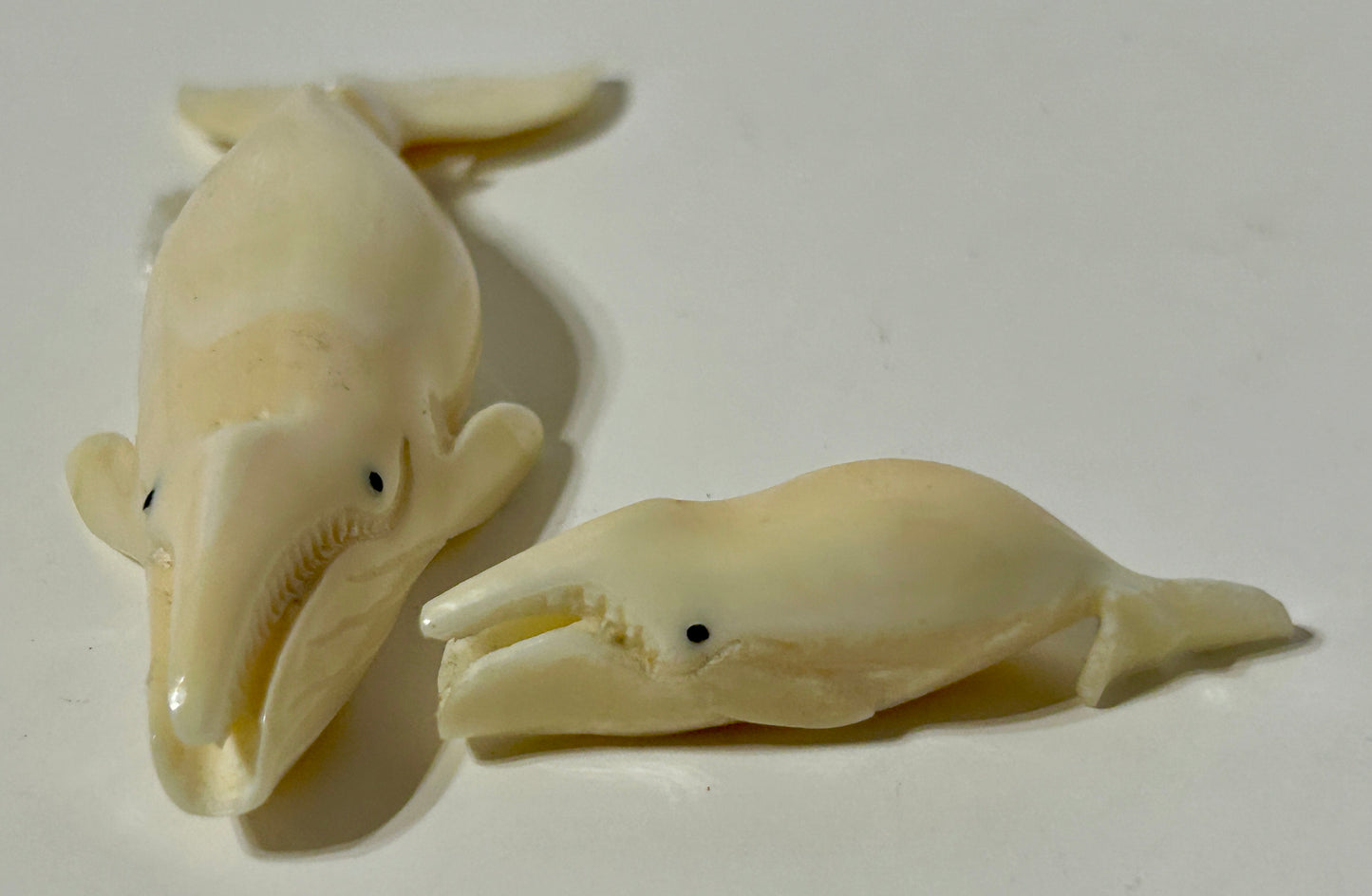 WALRUS IVORY CARVED PR. OF WALES