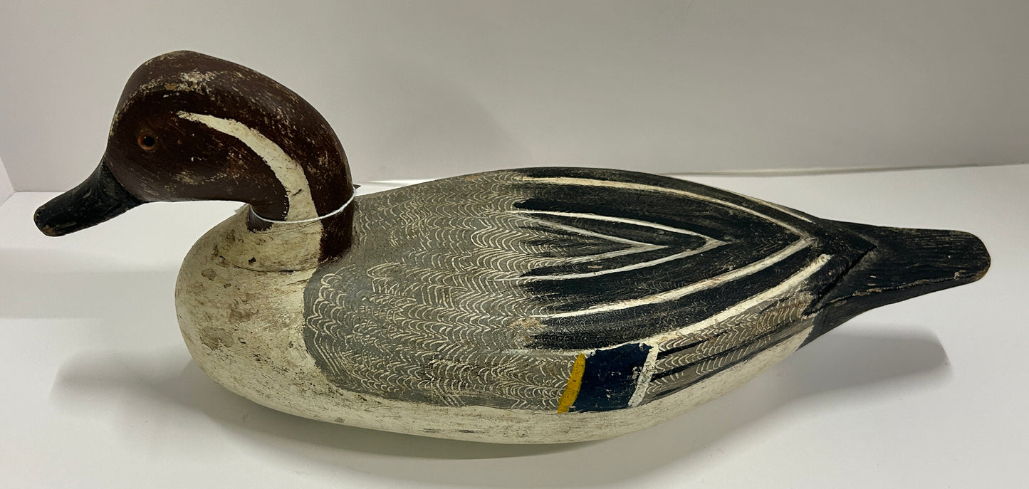 DUCK DECOY BY SKIP BARTO, ILLINOIS- PINTAIL DUCK