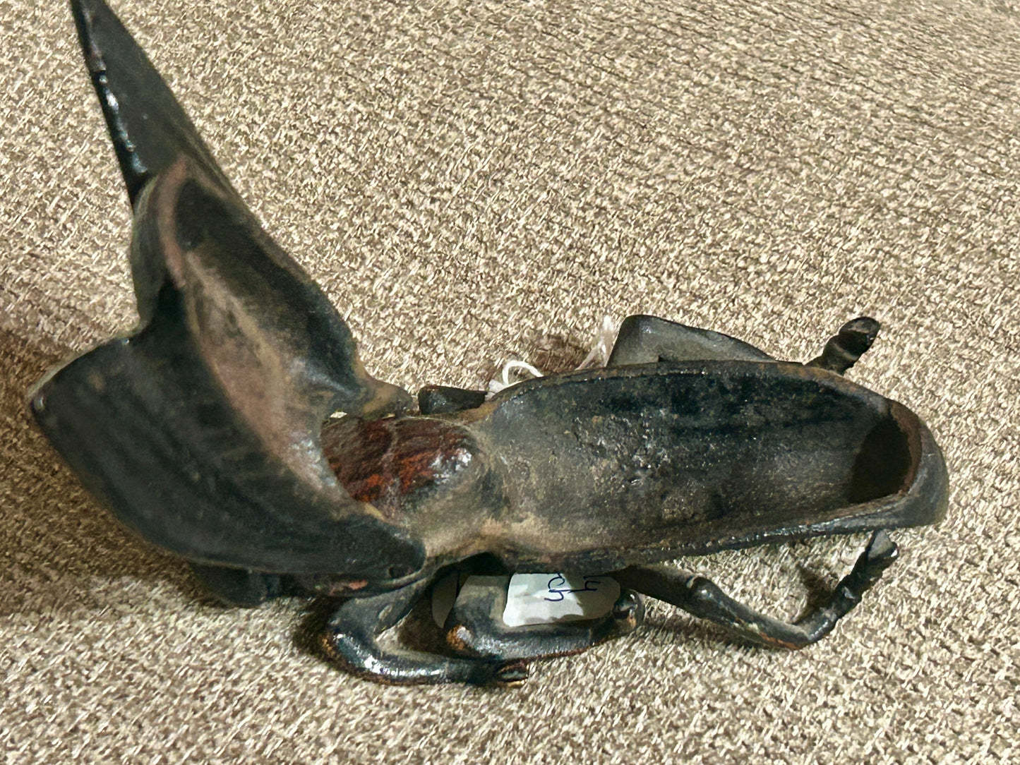 CAST IRON FLY MATCH HOLDER ANTIQUE