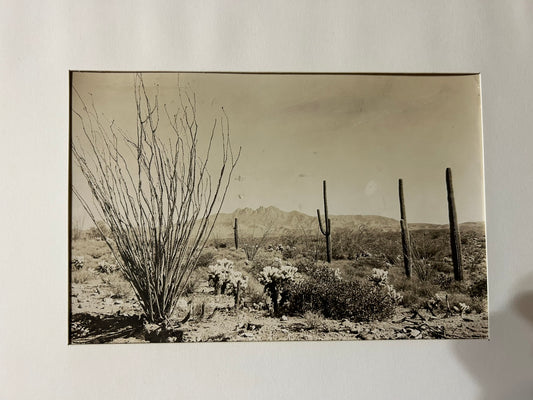 MCCULLOCK BROTHERS, ARIZONA 1884-1947 PHOTO OF DESERT SCENE