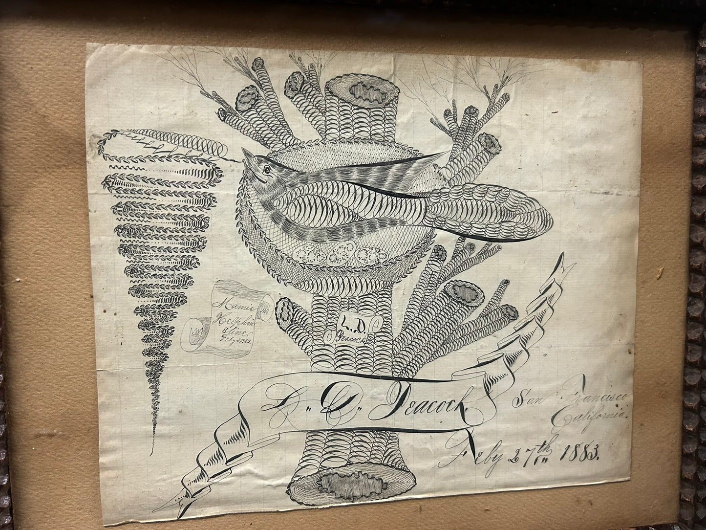 CALLIGRAPHY ANTIQUE BIRD IN NEST SAN FRANCISCO 1883 PEN & INK DRAWING