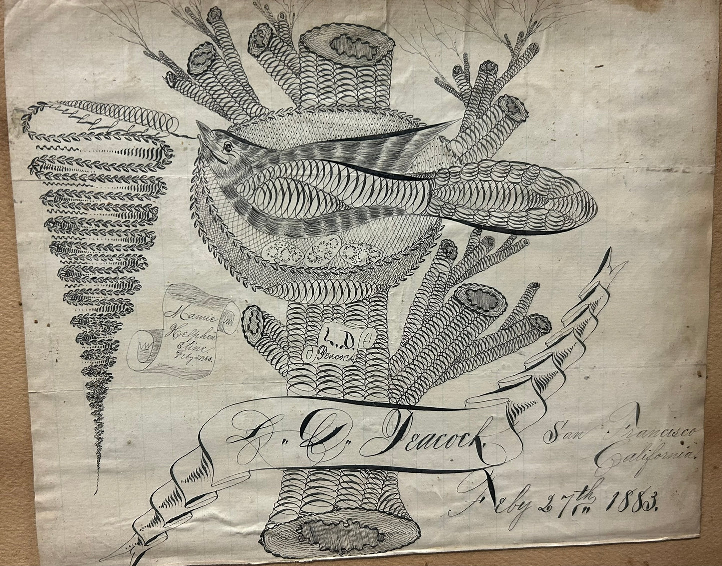 CALLIGRAPHY ANTIQUE BIRD IN NEST SAN FRANCISCO 1883 PEN & INK DRAWING