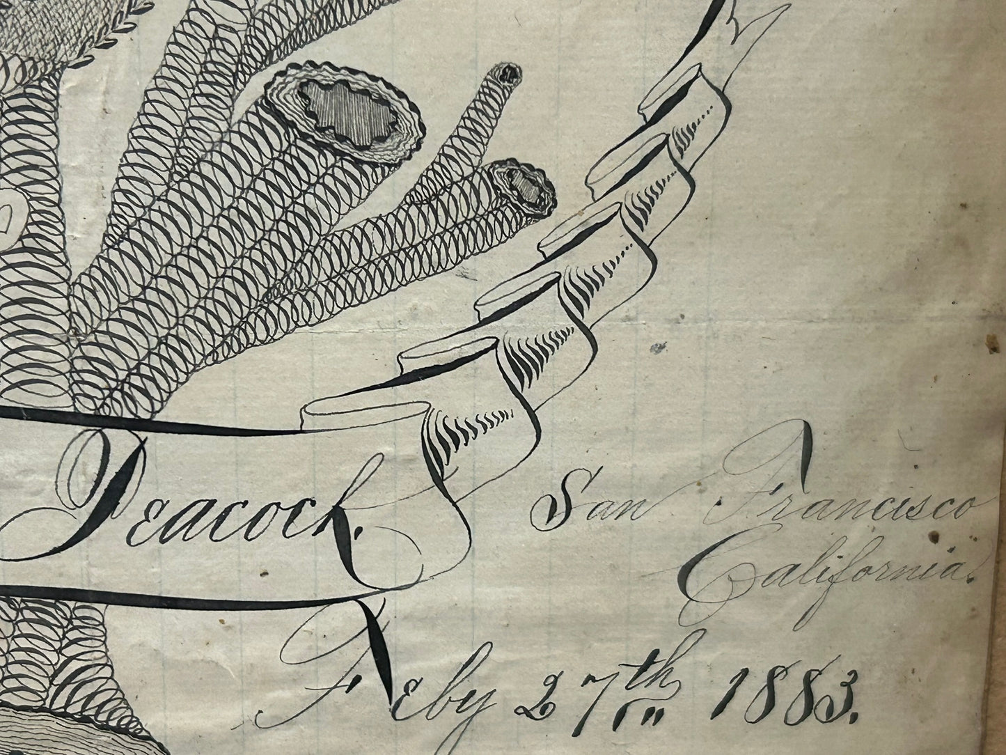 CALLIGRAPHY ANTIQUE BIRD IN NEST SAN FRANCISCO 1883 PEN & INK DRAWING