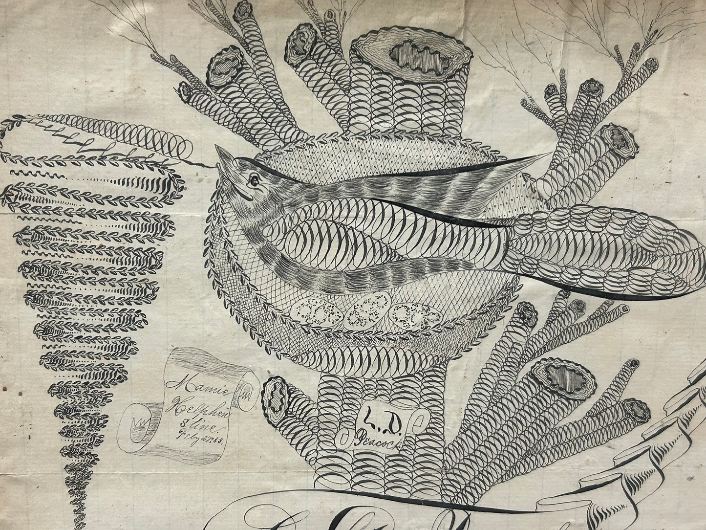 CALLIGRAPHY ANTIQUE BIRD IN NEST SAN FRANCISCO 1883 PEN & INK DRAWING