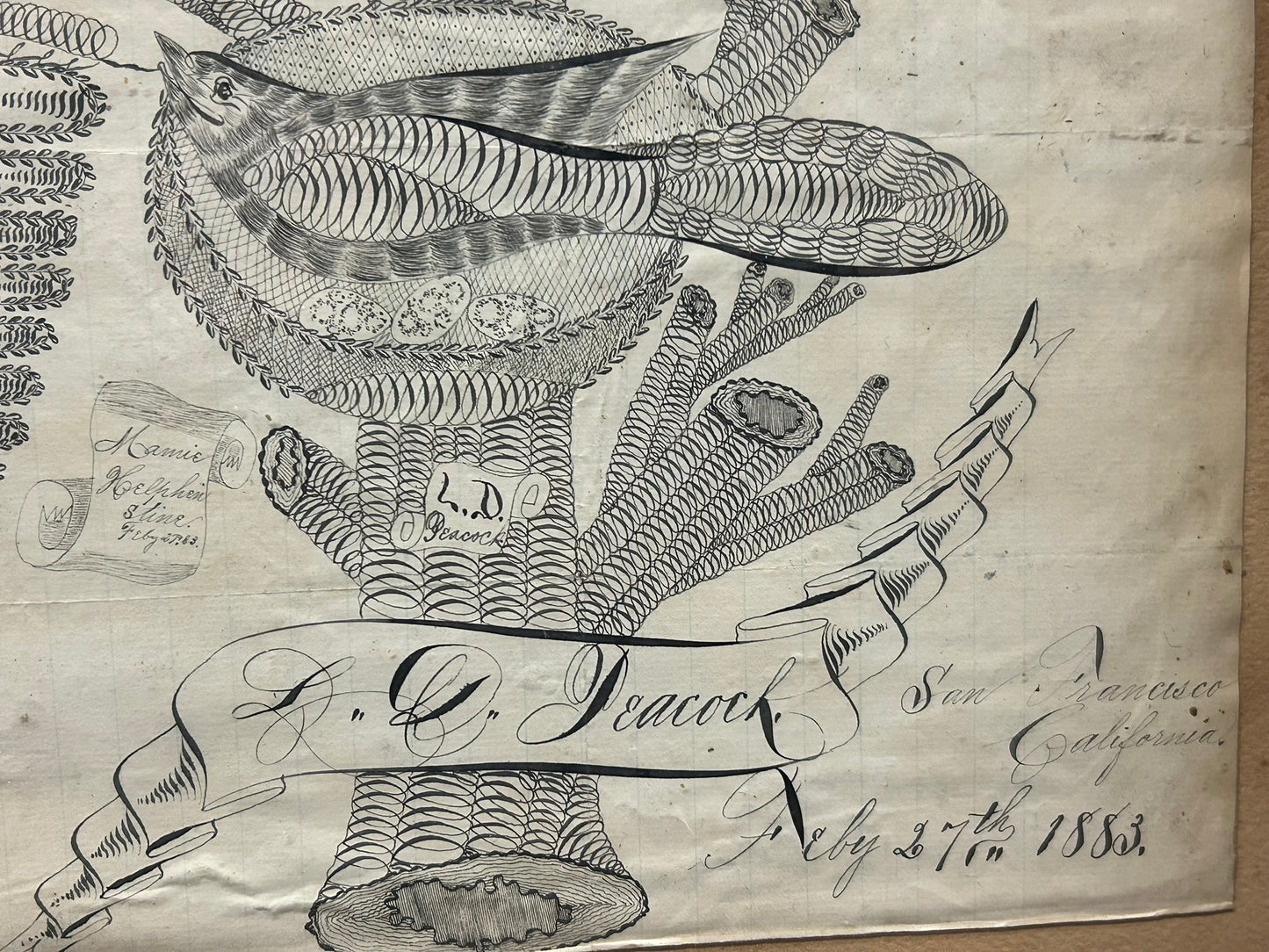 CALLIGRAPHY ANTIQUE BIRD IN NEST SAN FRANCISCO 1883 PEN & INK DRAWING