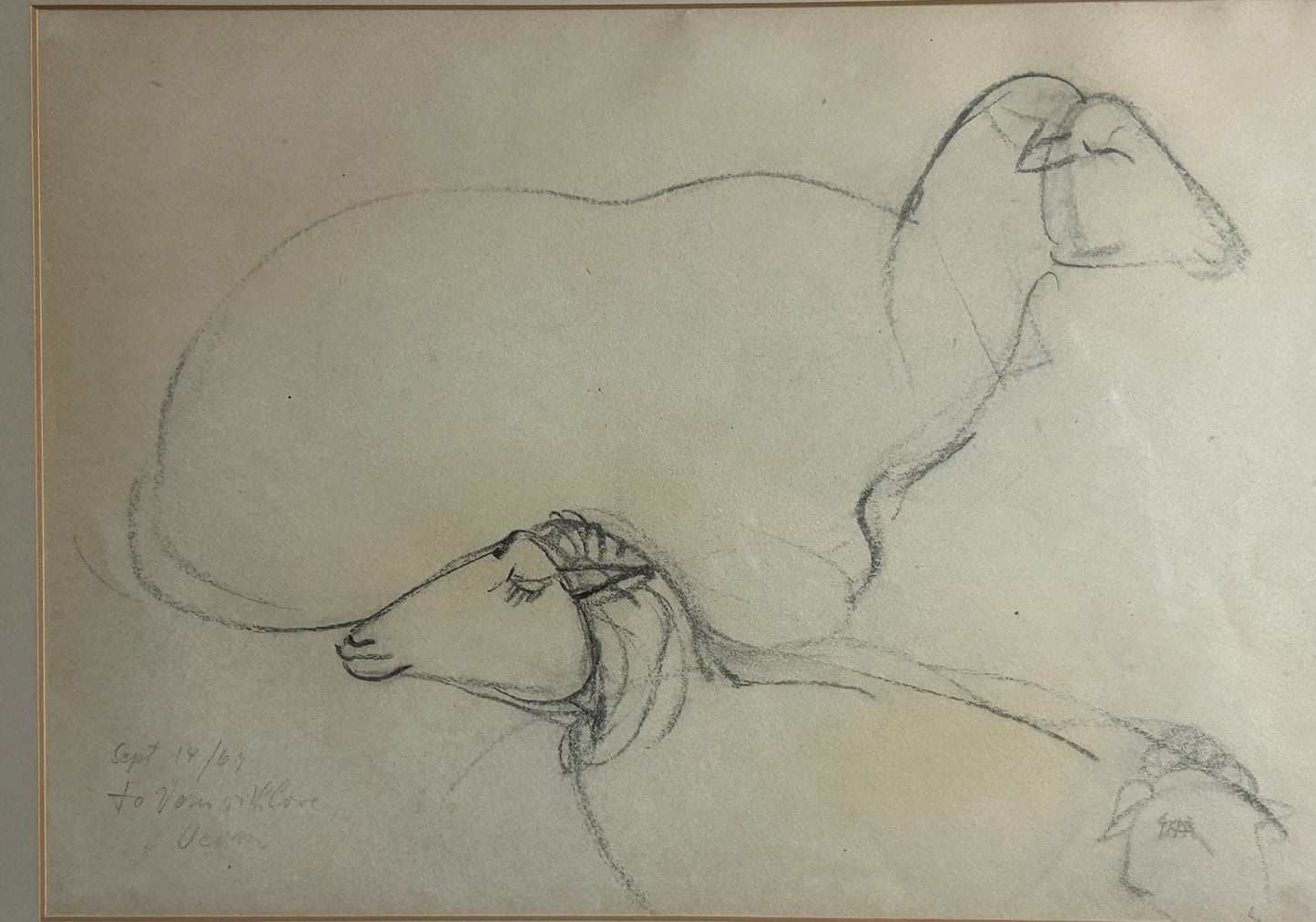 VIVEAN OVIETTE FROM NEW YORK AND TEXAS 1918-1990 DRAWING OF SHEEP