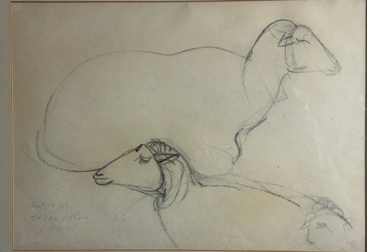 VIVEAN OVIETTE FROM NEW YORK AND TEXAS 1918-1990 DRAWING OF SHEEP