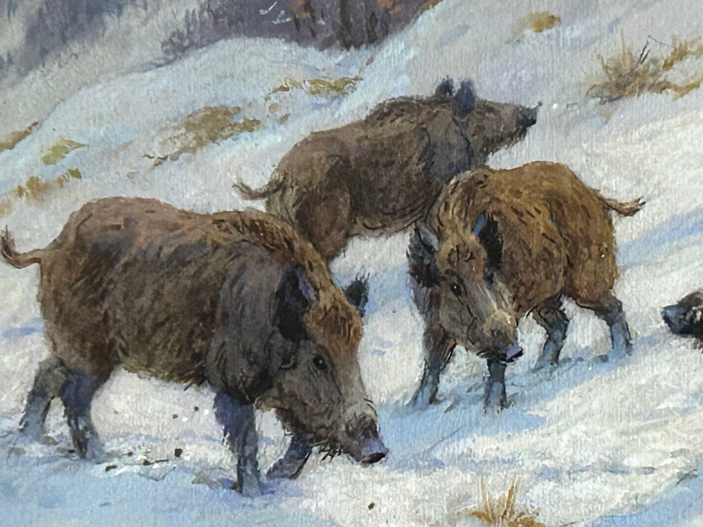 GEORGES FREDERIC ROETIG 1873-1961 FRANCE. WILD BOARS WATERCOLOR PAINTING