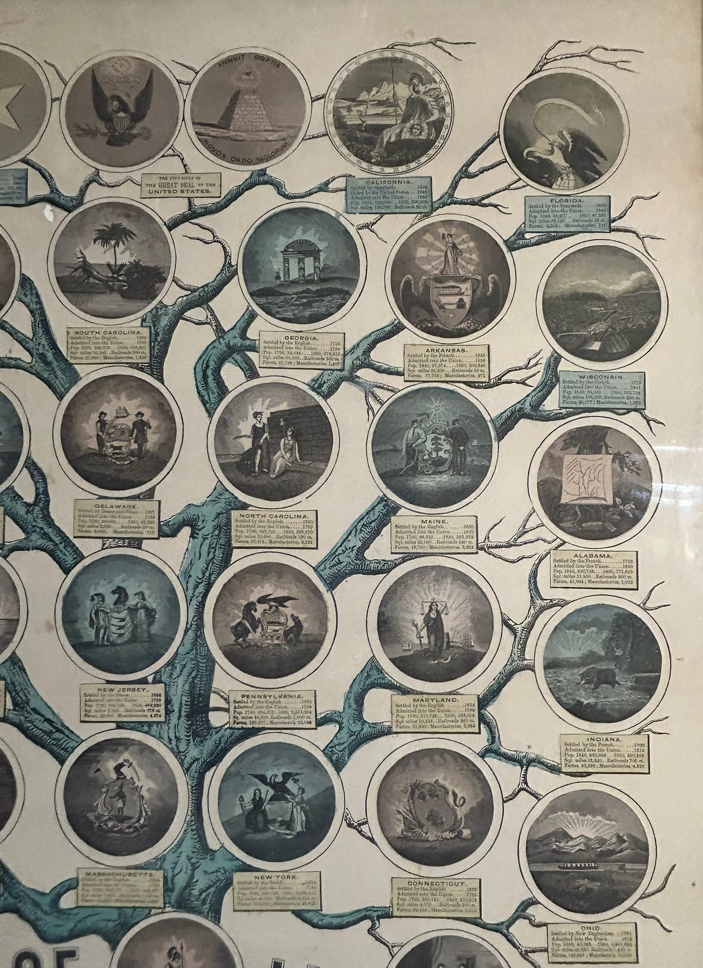 TREE OF LIBERTY PRINT