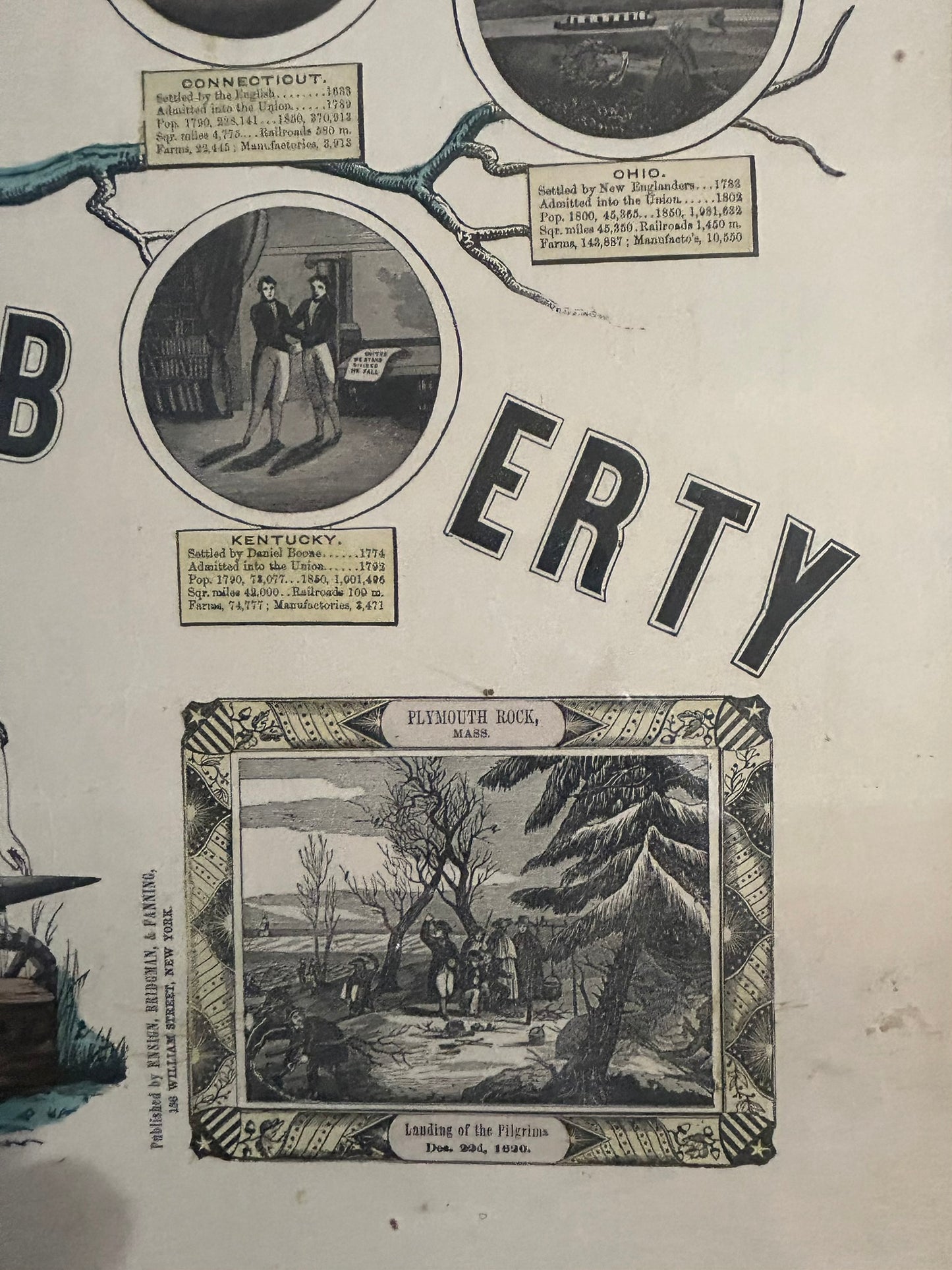 TREE OF LIBERTY PRINT