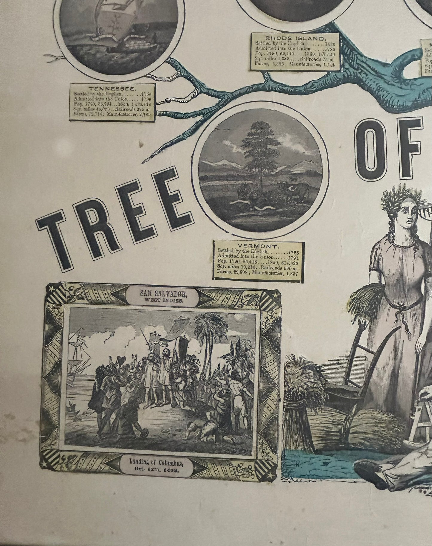 TREE OF LIBERTY PRINT
