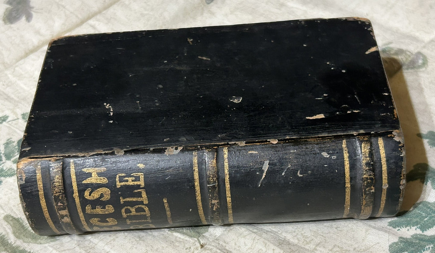 "SECESH BIBLE" WOODEN BOOK SHAPE BOX WITH SNAKE INSIDE